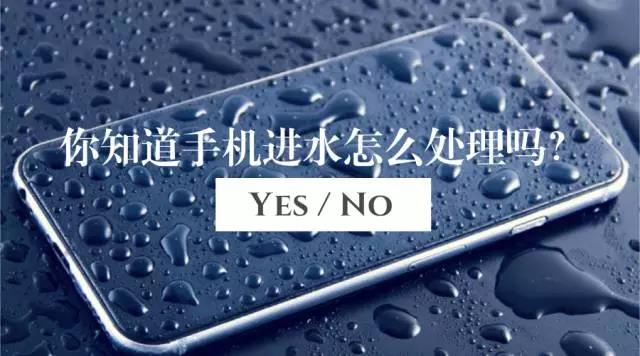 手机进水怎么办