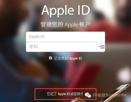 APPLE ID管理您的APPLE账户